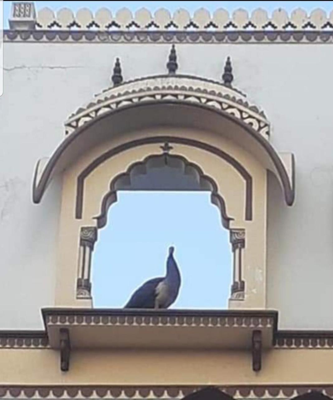 Sureli Haveli Apartment Jaipur Exterior photo
